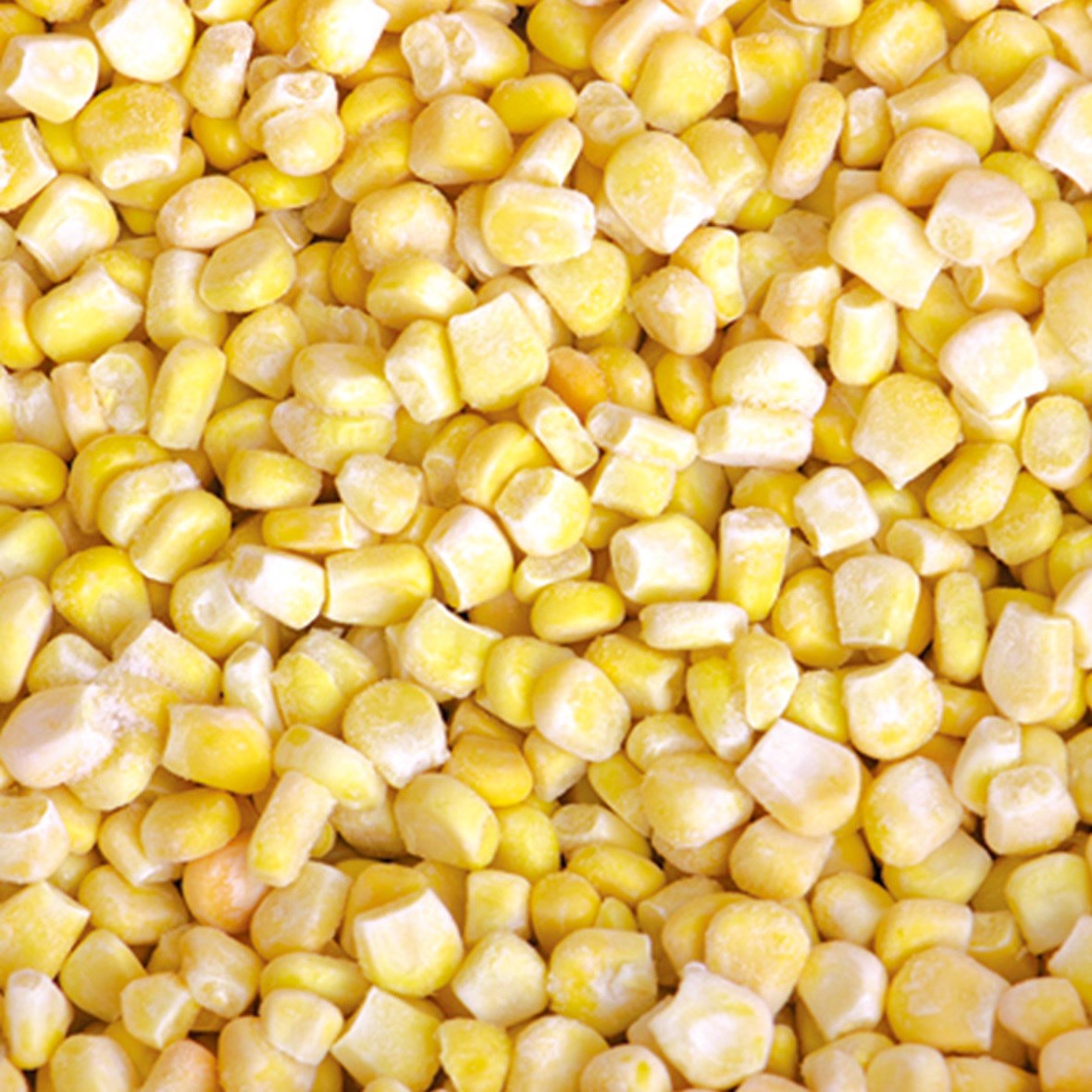 Frozen corn